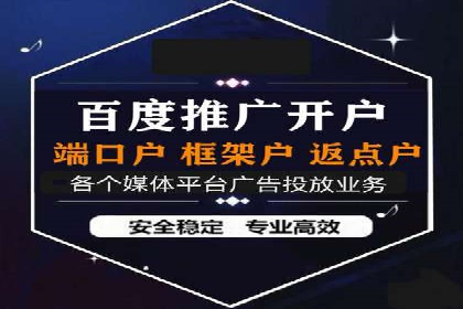 深入解析SEM账户竞价运营成功案例